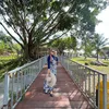 fitri28073016