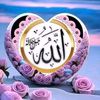 aghajan13