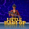 littlehadiop1