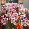 luyennguyen010682