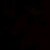 aom123666