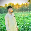 shalmani46