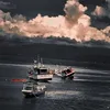 sarcehartinim