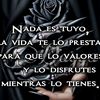 isabelvilchis43
