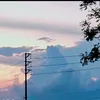 xymcute