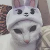 d4rkkqg
