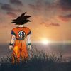 songokufan22