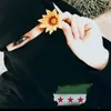hsbbz55