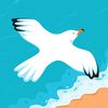 shayan.haidar1