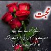 honeykhan6396