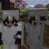 nico_zzl