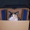 mimi_ontour