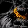 unknown_mistify