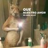 luismota7194