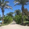 solena513