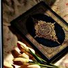 user4630724120221