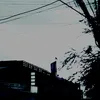 ngnngc78