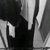 _dilik.9