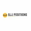 bjjpositiions