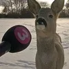 aiz4fps