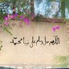 ahmed.hamdy7406