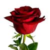 user2522380053078
