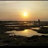 tahuucampur_