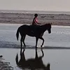 floppitmouse