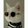 abby_xd324