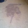 Hot messy carpet stain