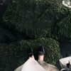 dntrlm_
