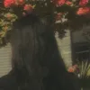 saja______21