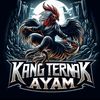 aldi_syaputra_02
