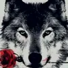 lobo85560