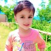 user780660453