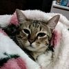 goodgirl151232