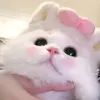 siuyeunha