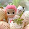 hi.its_me_safa