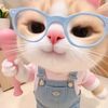 raracutie3