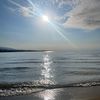 matvey_0033