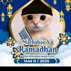 aditwellmaizan