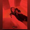 nicolekellyxxxx2