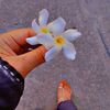 stone_heart81