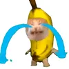 tmannhdzvcd