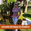 user2790822556857