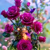 .akashtha.meghla