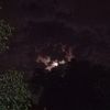 nasta_230