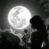 عطر الورد 🌹