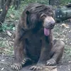 blebbi_bot