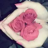 user6285219842681